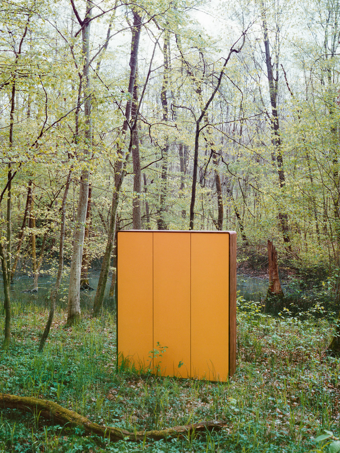 Massivholzschrank "Sfera" aus Nussbaum massiv mit Türen aus farbig lackiertem Glas